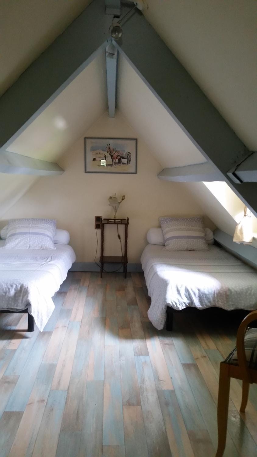 Bed