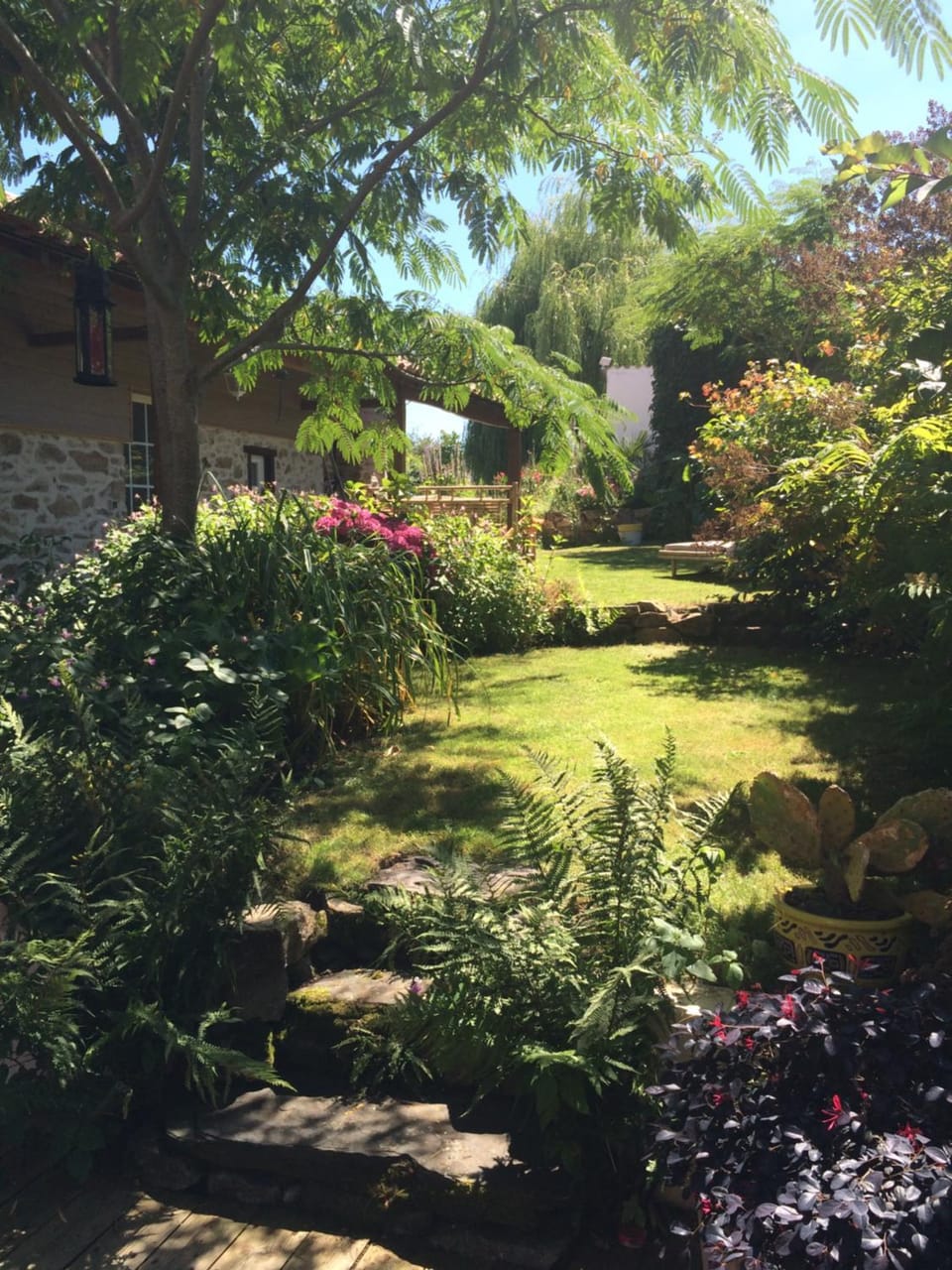 Garden view