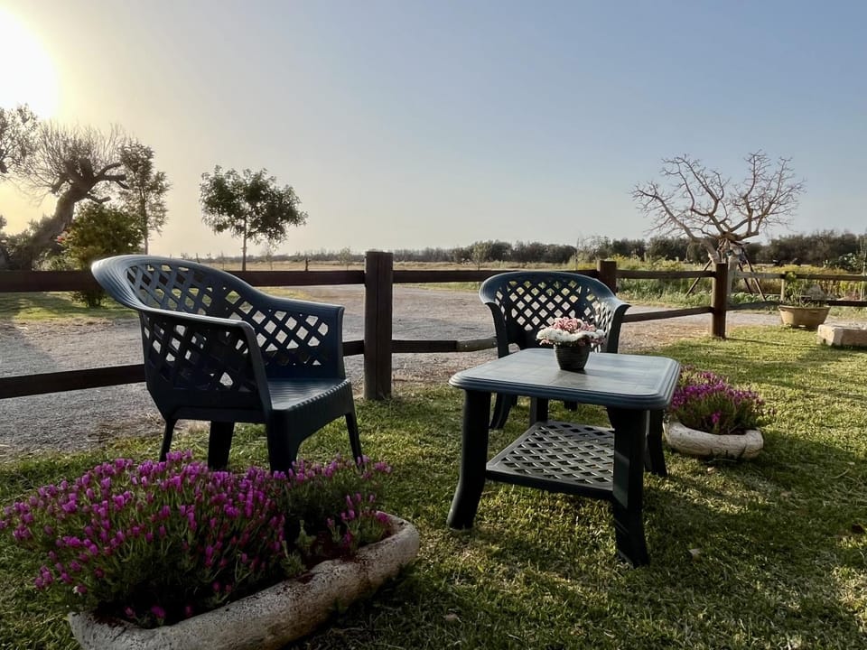 Patio, Garden