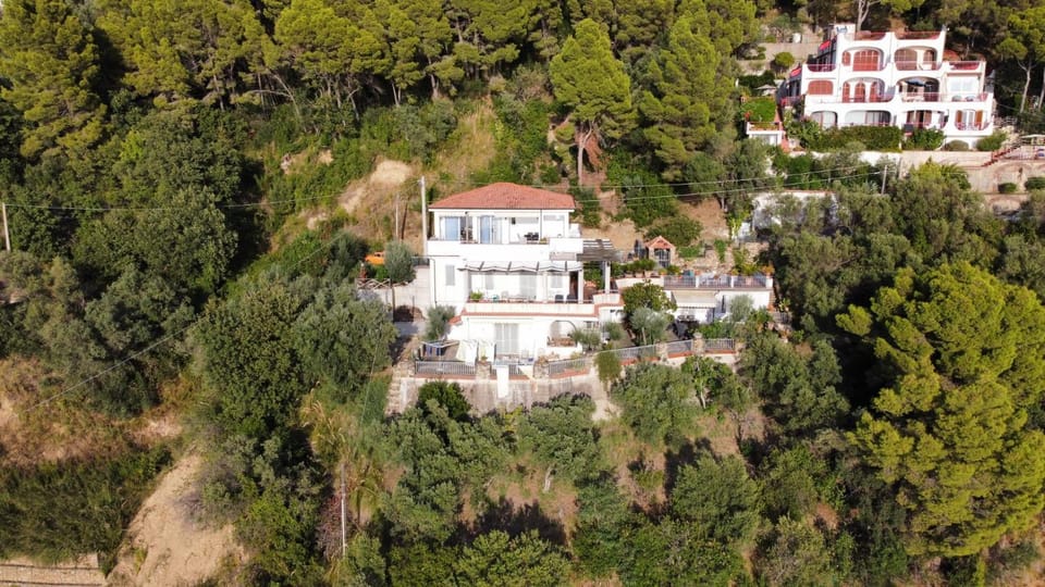 Property building, Bird's eye view