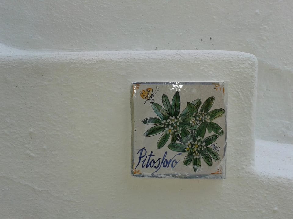 Property logo or sign