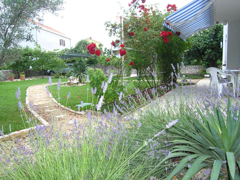 Garden, Balcony/Terrace