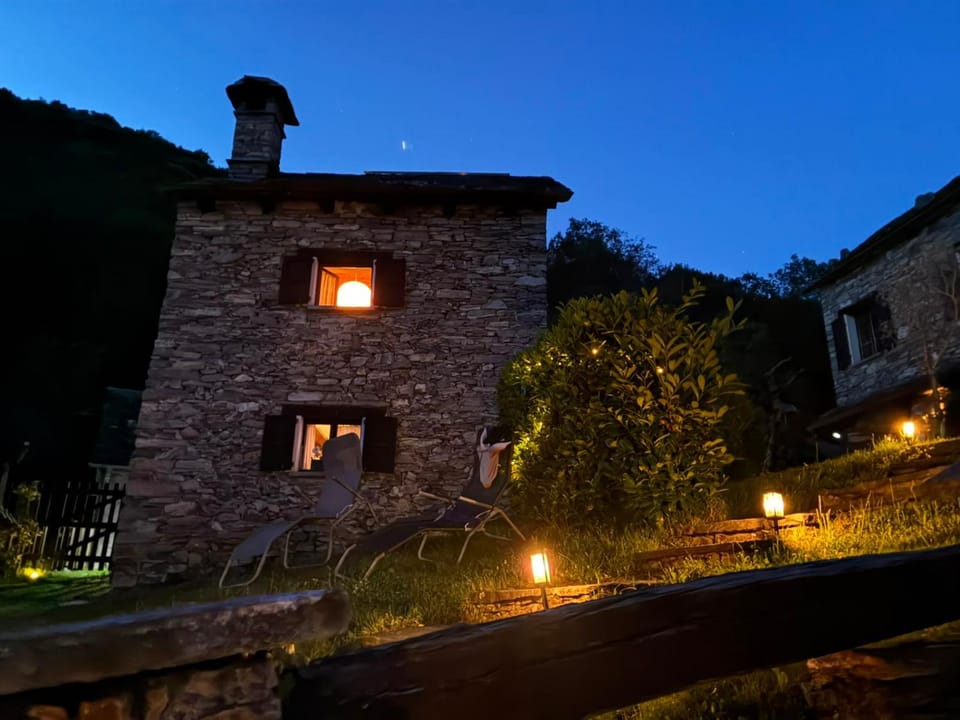 Night, Garden