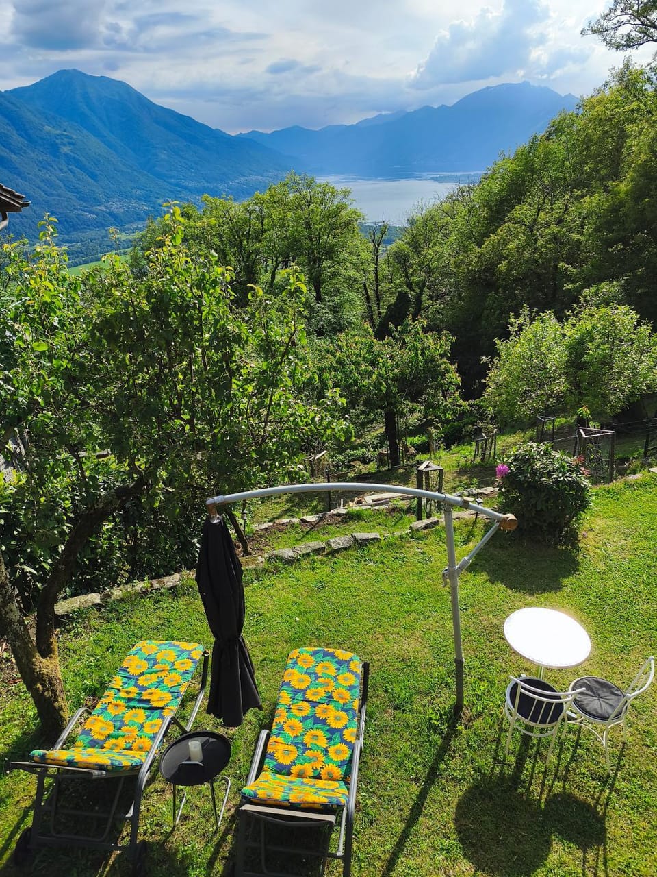Garden view