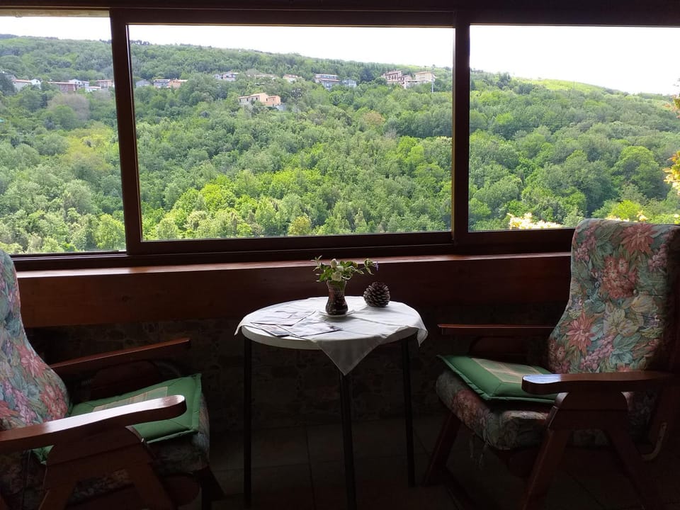 Balcony/Terrace, Living room, Mountain view