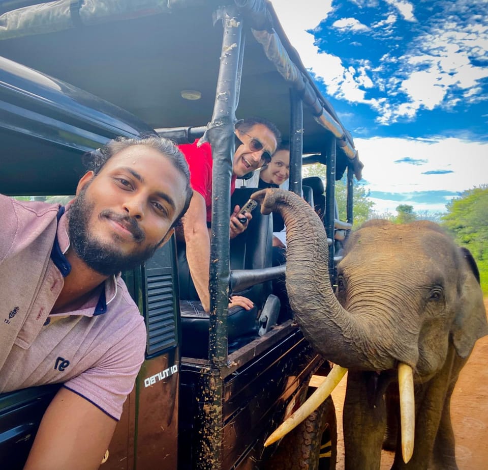 Day, Animals