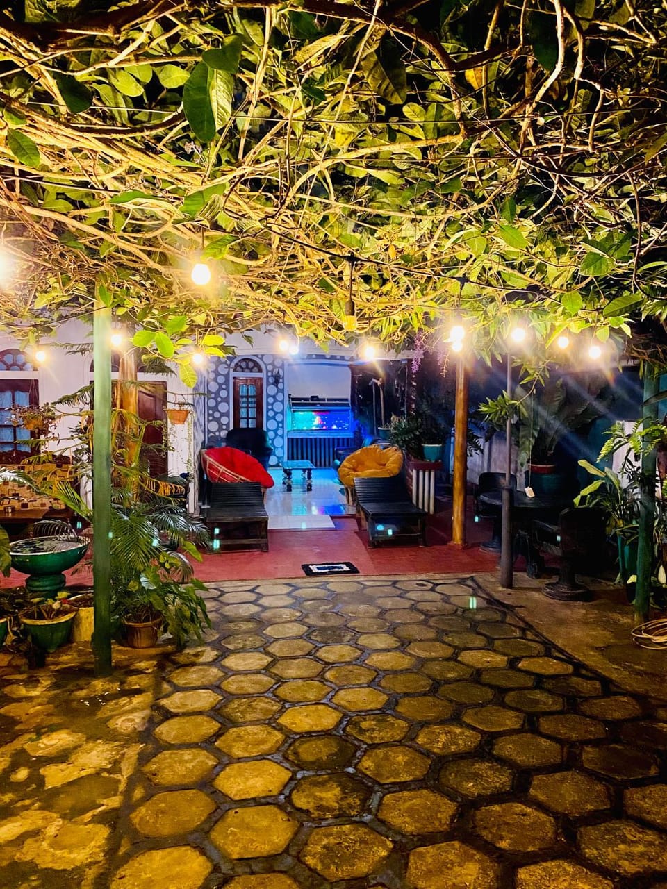 Night, Garden, Garden view
