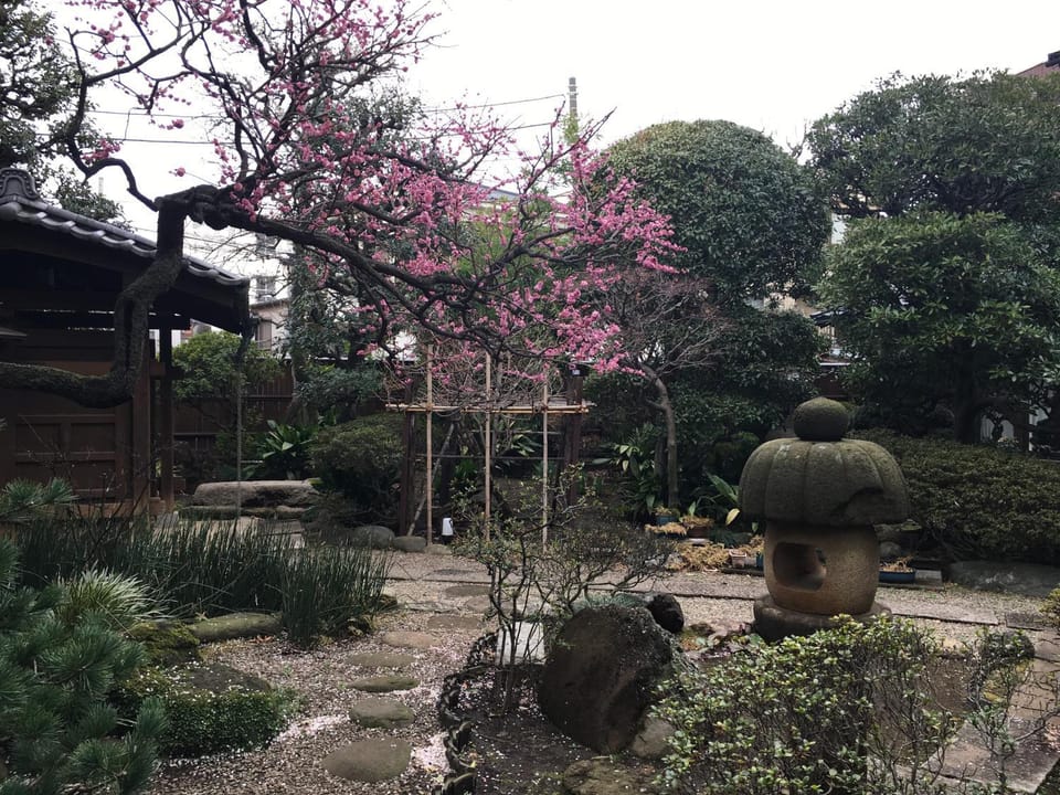 Garden view