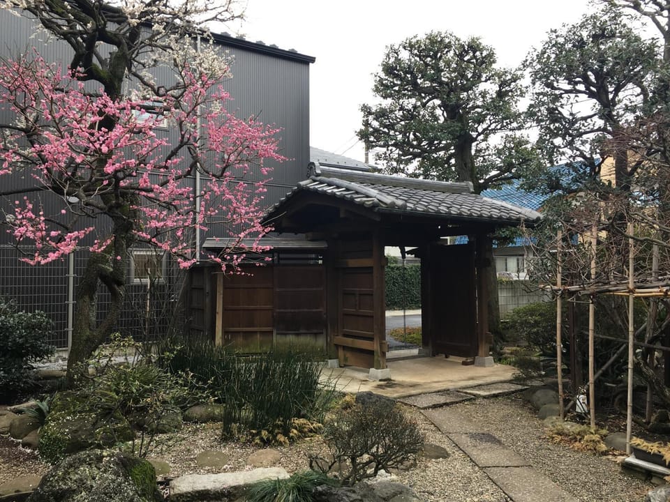 Garden view