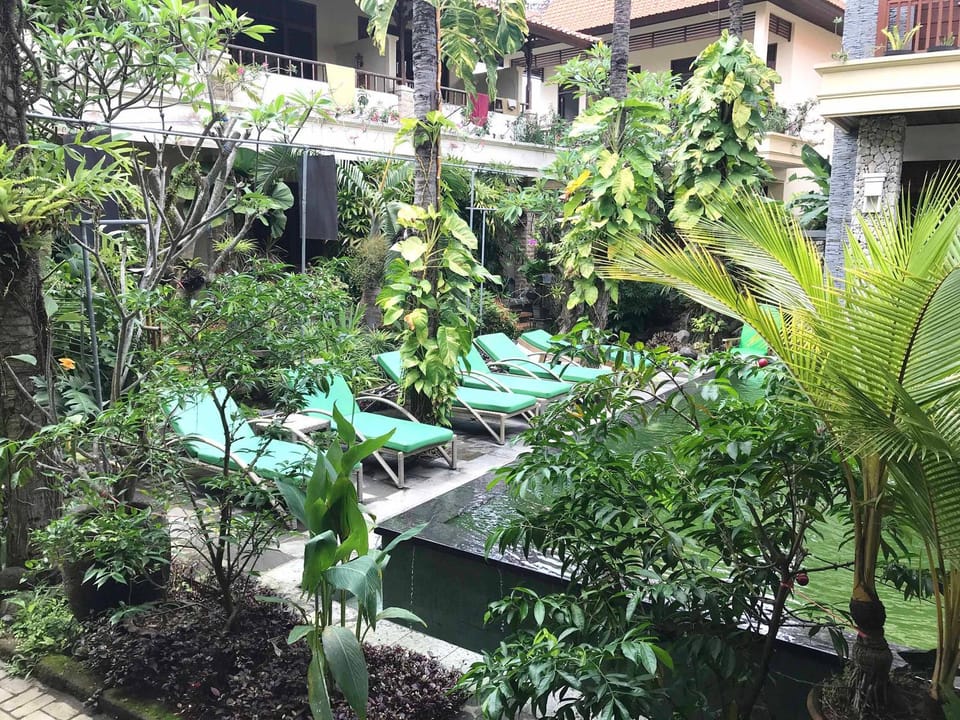 Garden view, Pool view, Swimming pool, Swimming pool