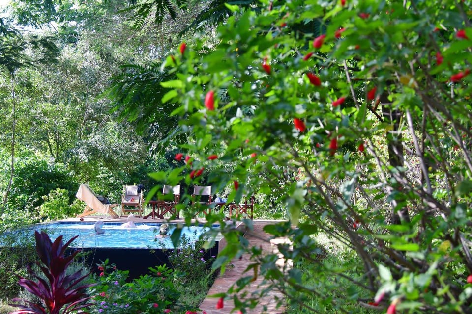 Swimming pool