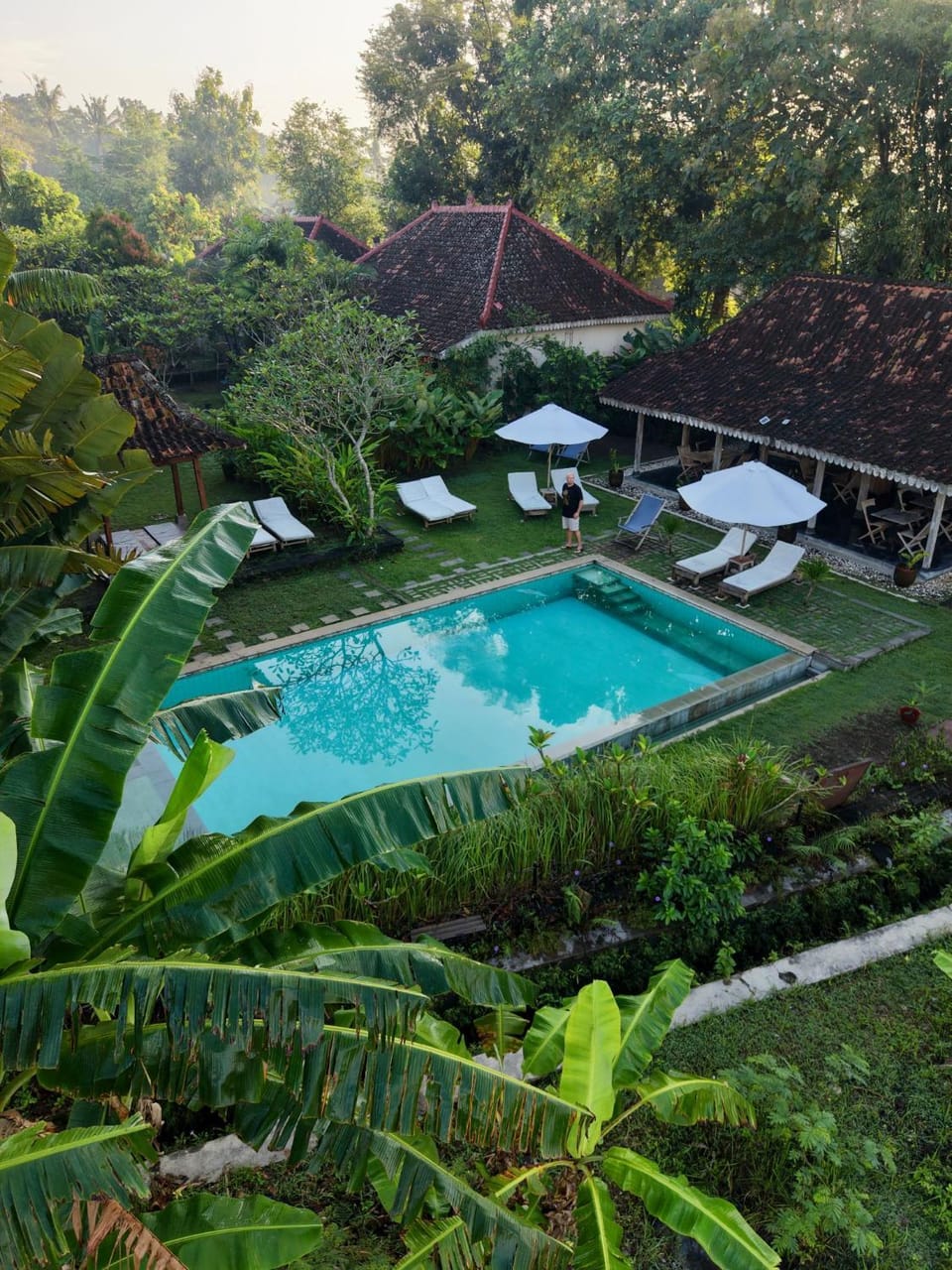 Restaurant/places to eat, Garden, Garden view, Swimming pool, Breakfast, sunbed, sunbed