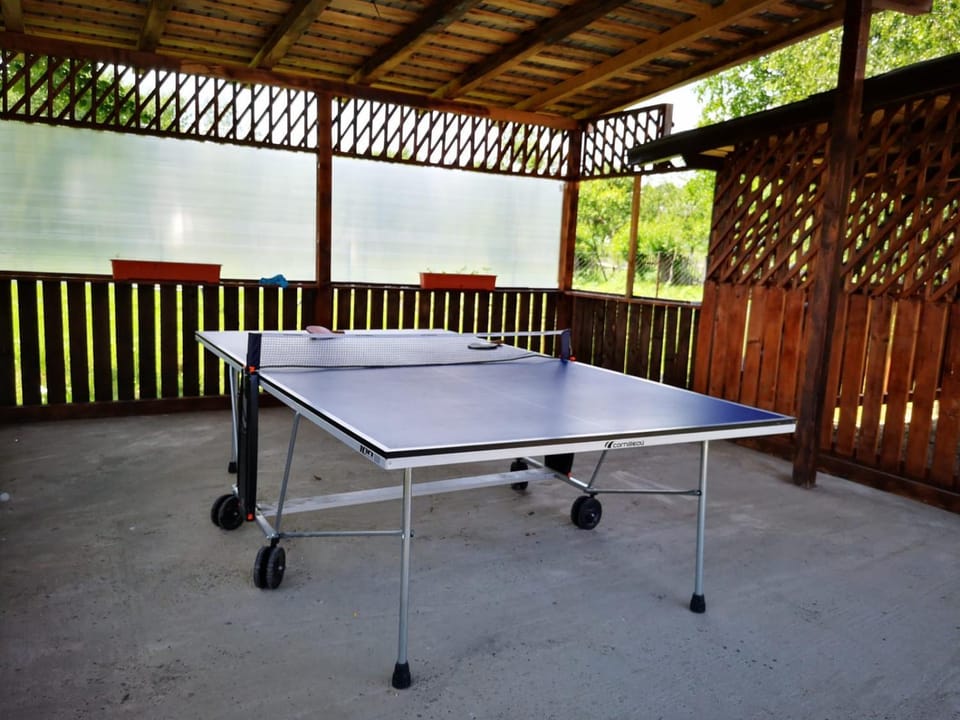 Table tennis