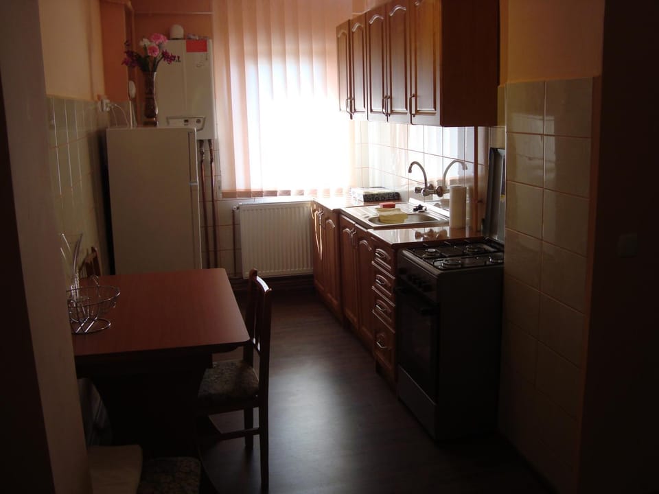 Kitchen or kitchenette, Dining area, oven