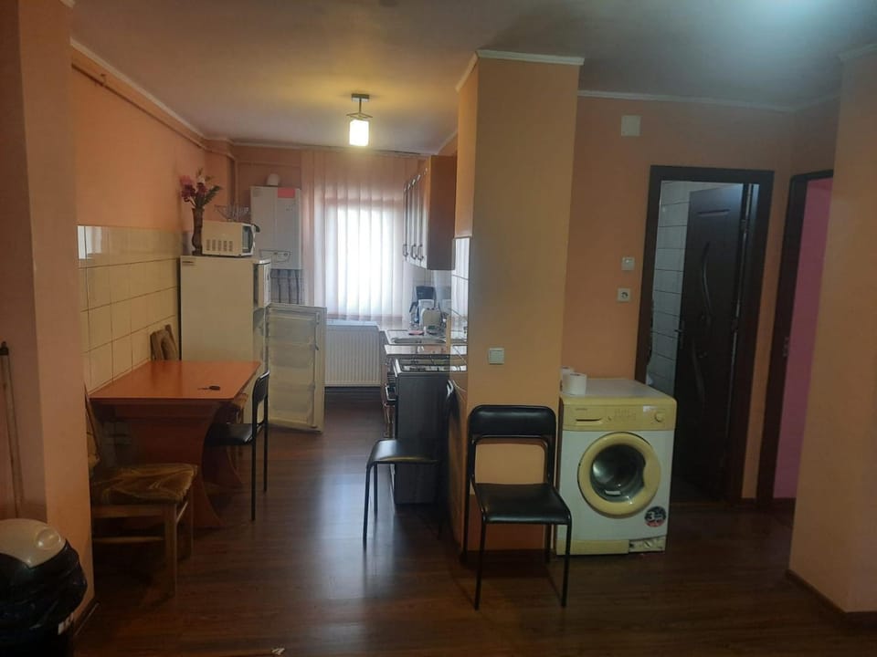 Kitchen or kitchenette, Dining area, washing machine