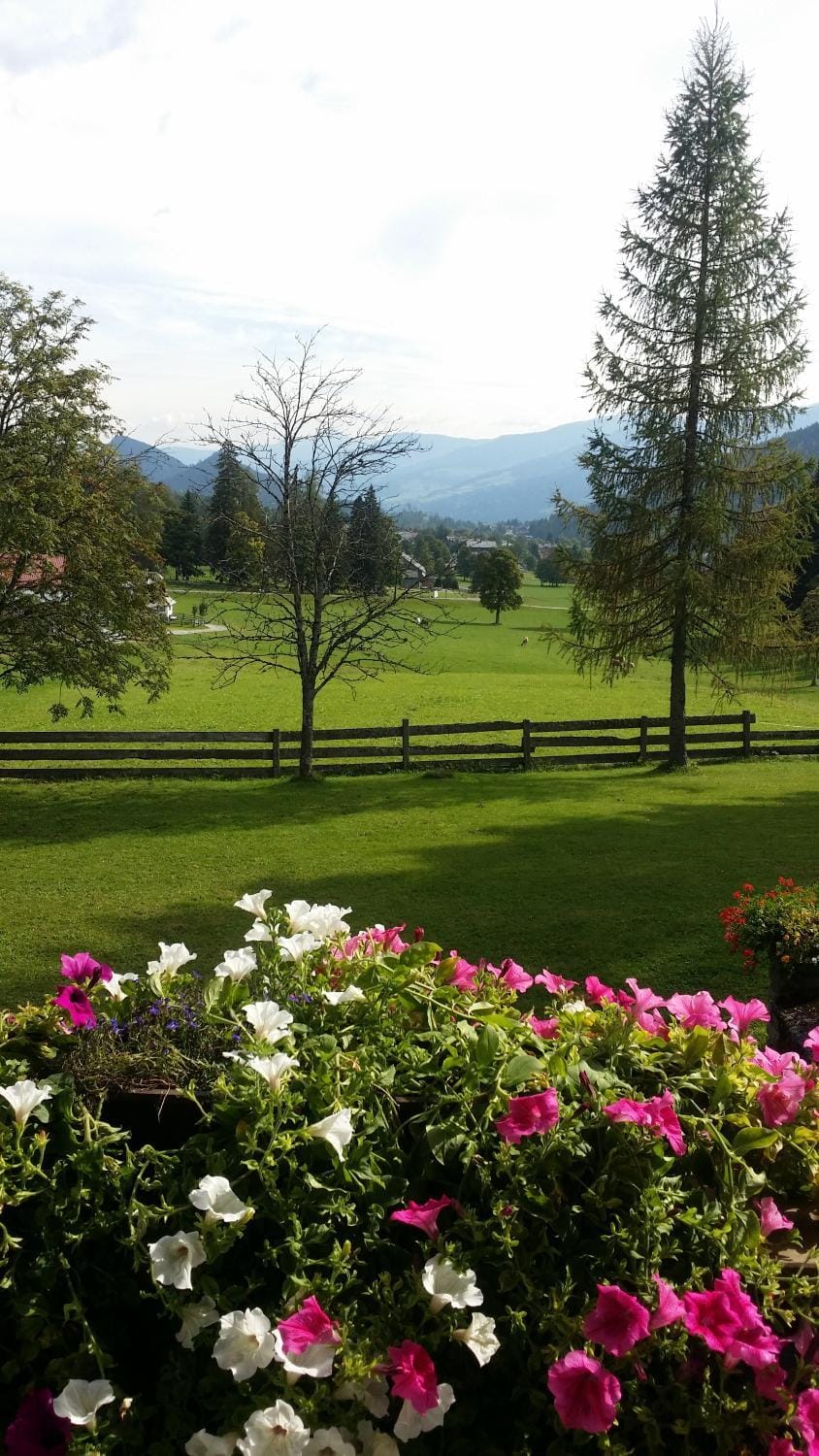 Natural landscape
