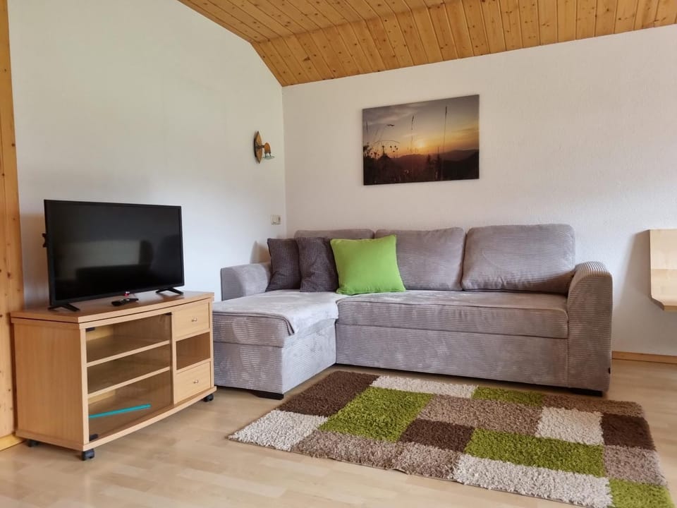 Haus Felder Schoppernau Apartment in Vorarlberg, Austria