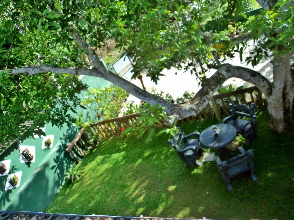 Garden view