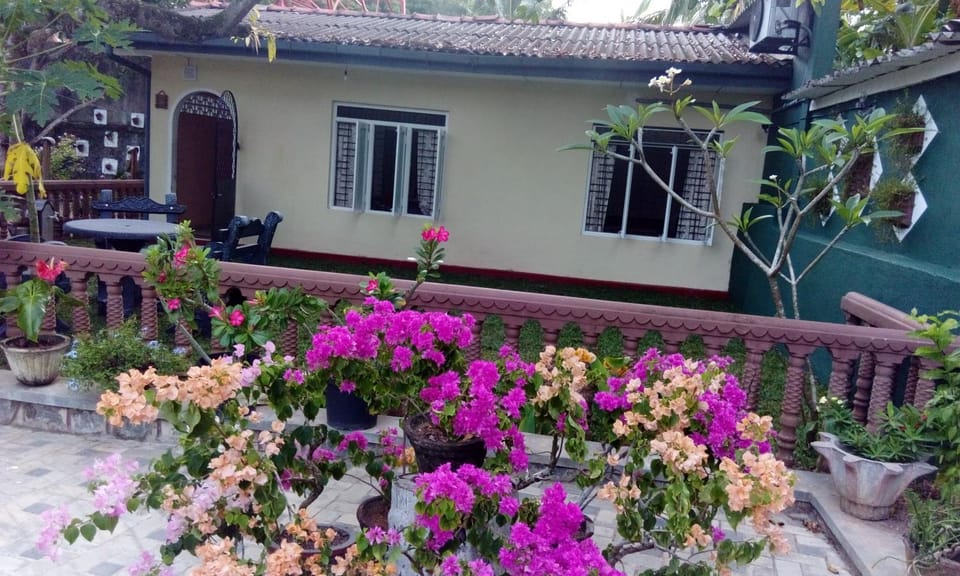 Property building, Garden, Garden view