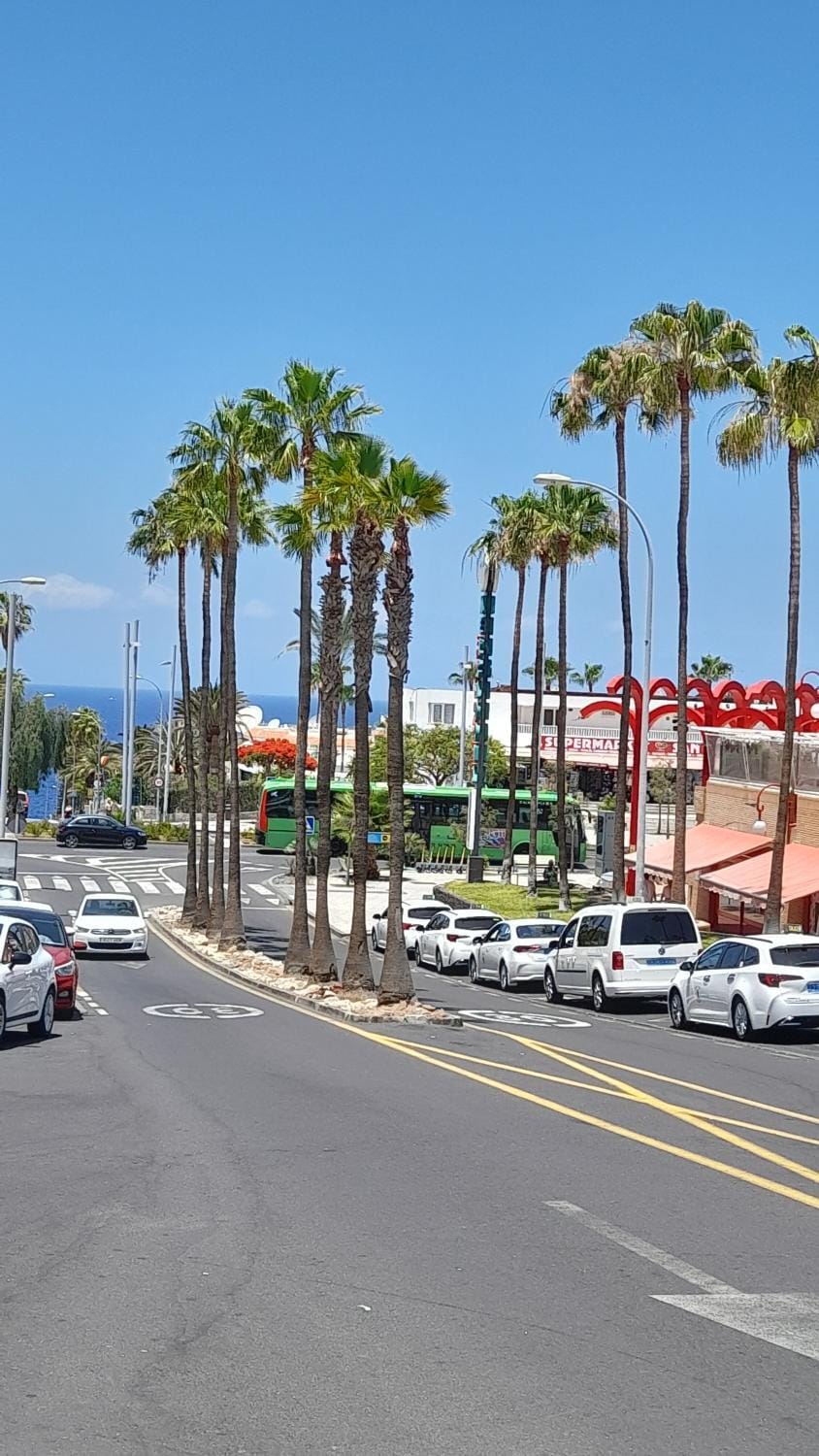 Day, Neighbourhood, Business facilities, Supermarket/grocery shop