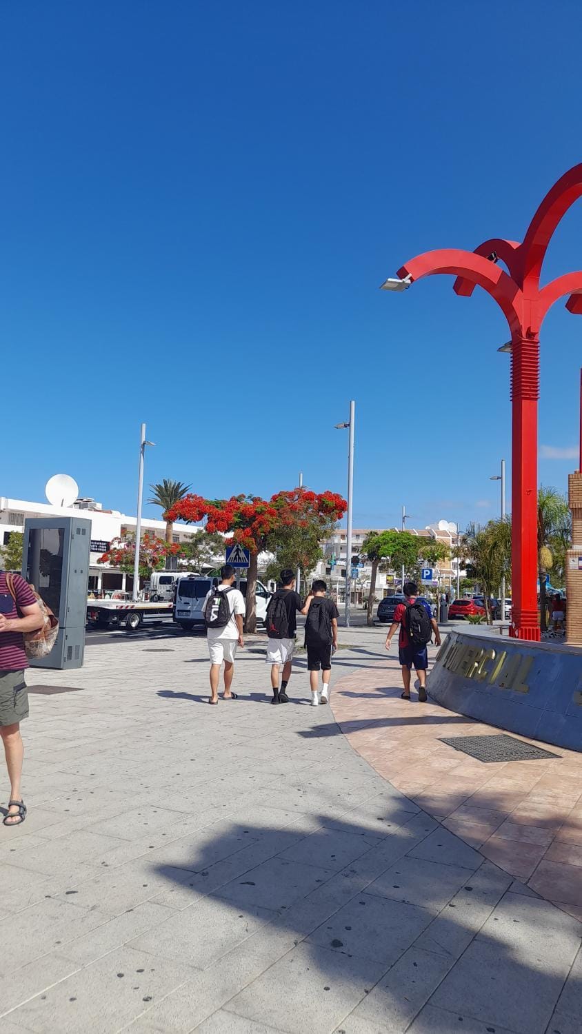 Day, Supermarket/grocery shop, Shopping Area