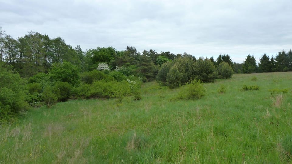 Spring, Off site, Other