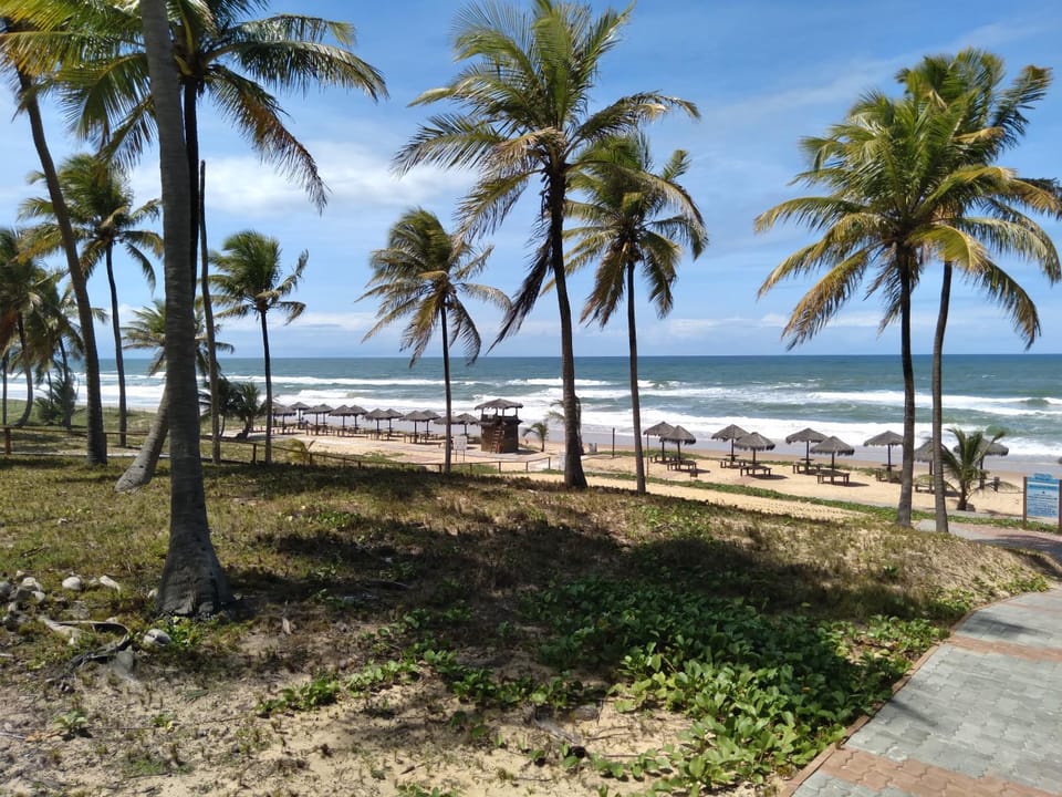 Natural landscape, Beach, Sea view