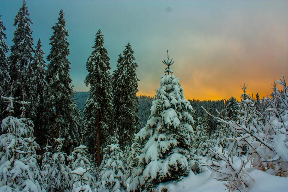 Natural landscape