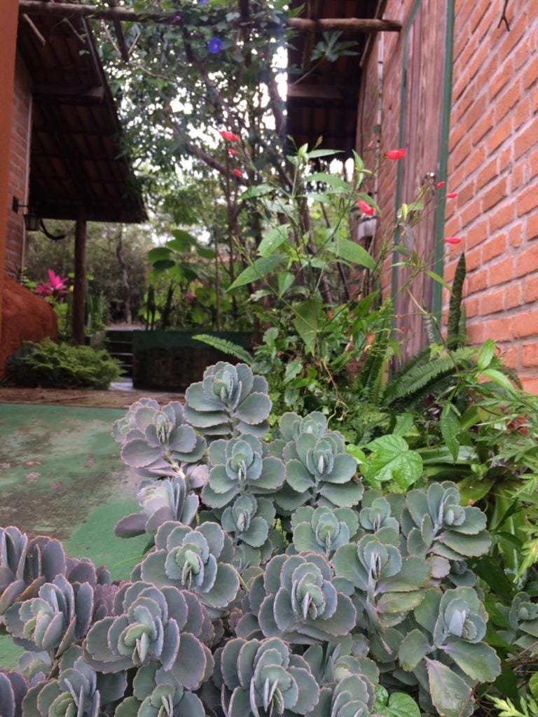 Garden, Garden
