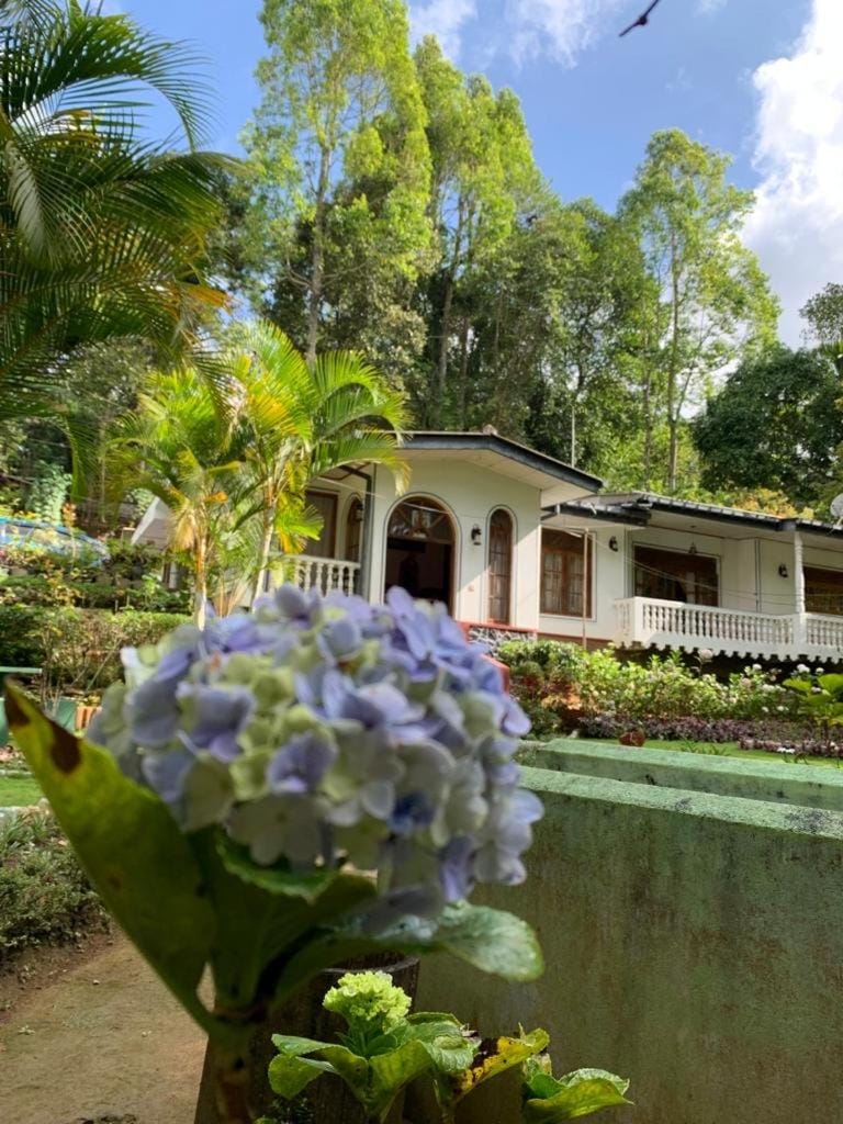 Garden view