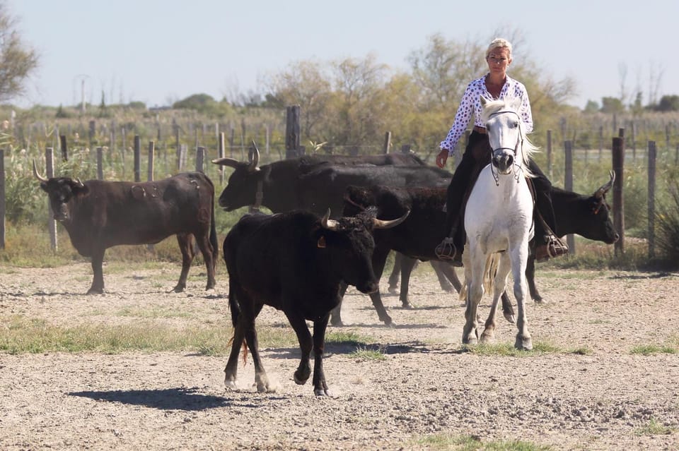 Hôtel Spa Mas des Rièges Hotel in Saintes-Maries-de-la-Mer