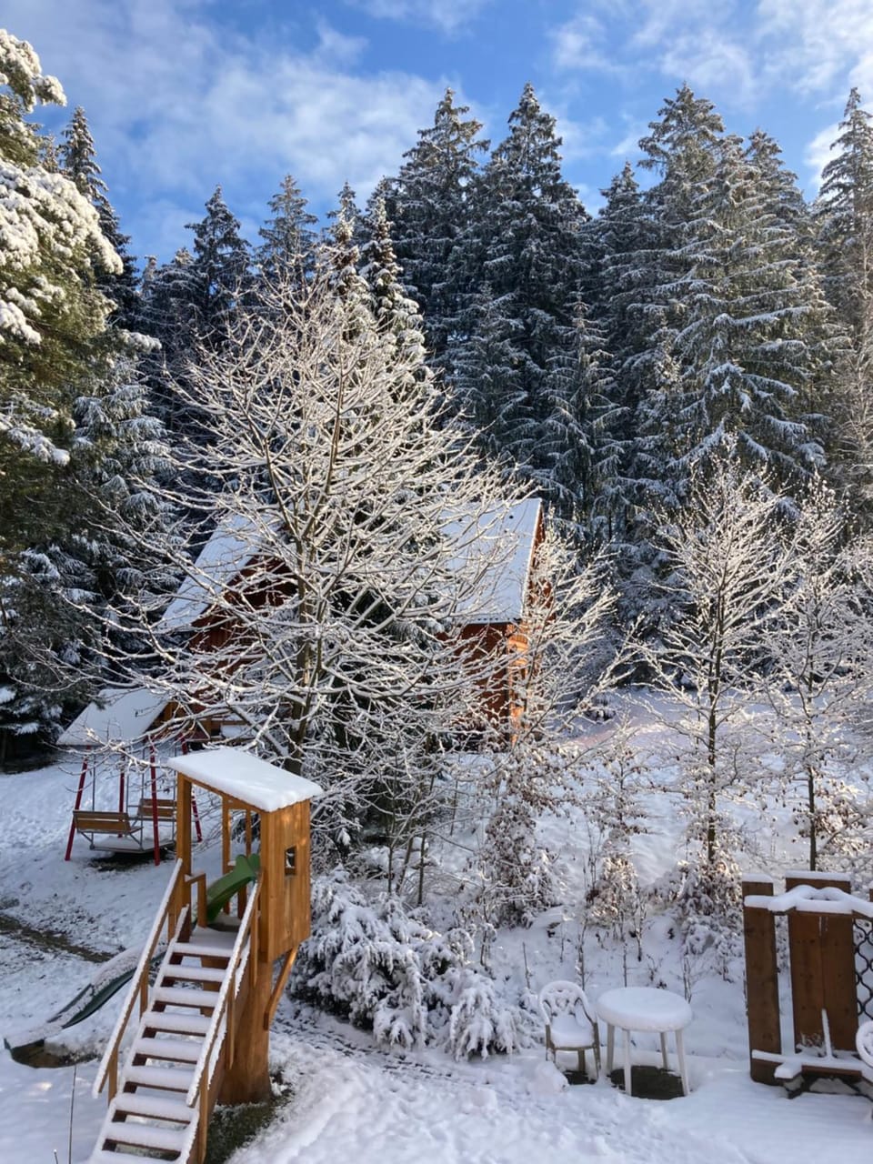 Winter