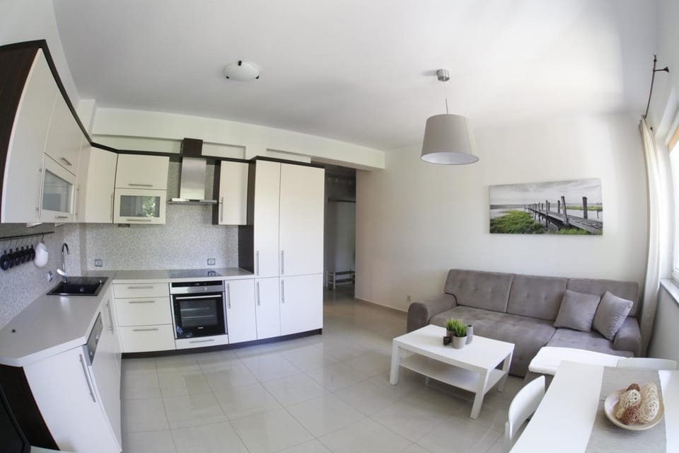 Kitchen or kitchenette, Living room, Seating area