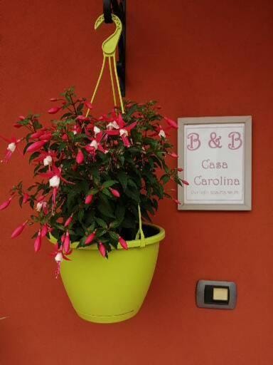 Casa Carolina Bed and Breakfast in Piedmont