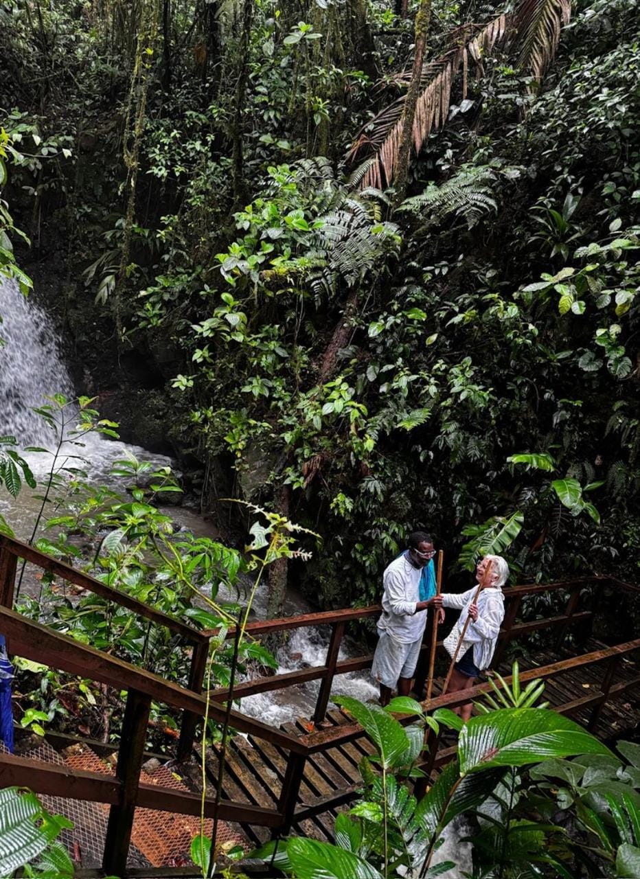 Natural landscape, group of guests