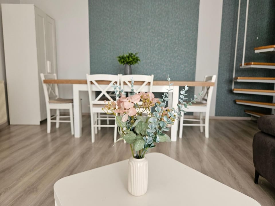Zoli Apartmanok-Adri Kölcsey 32 Apartment in Hungary