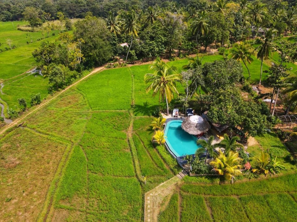 Nelu Villa Sigiriya Bed and Breakfast in Dambulla