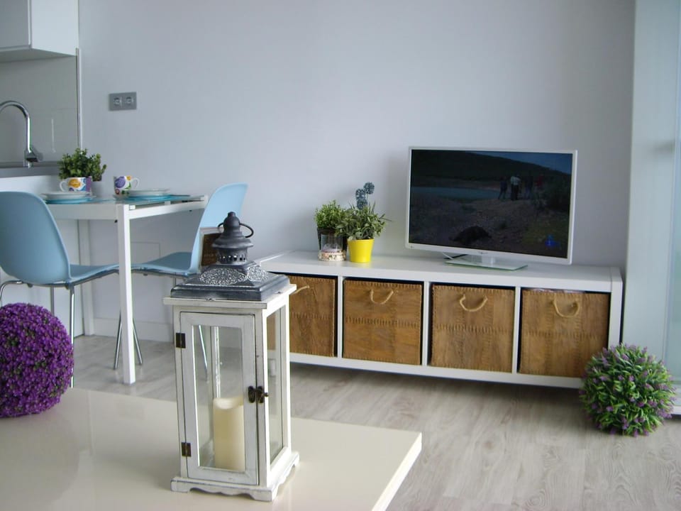 TV and multimedia