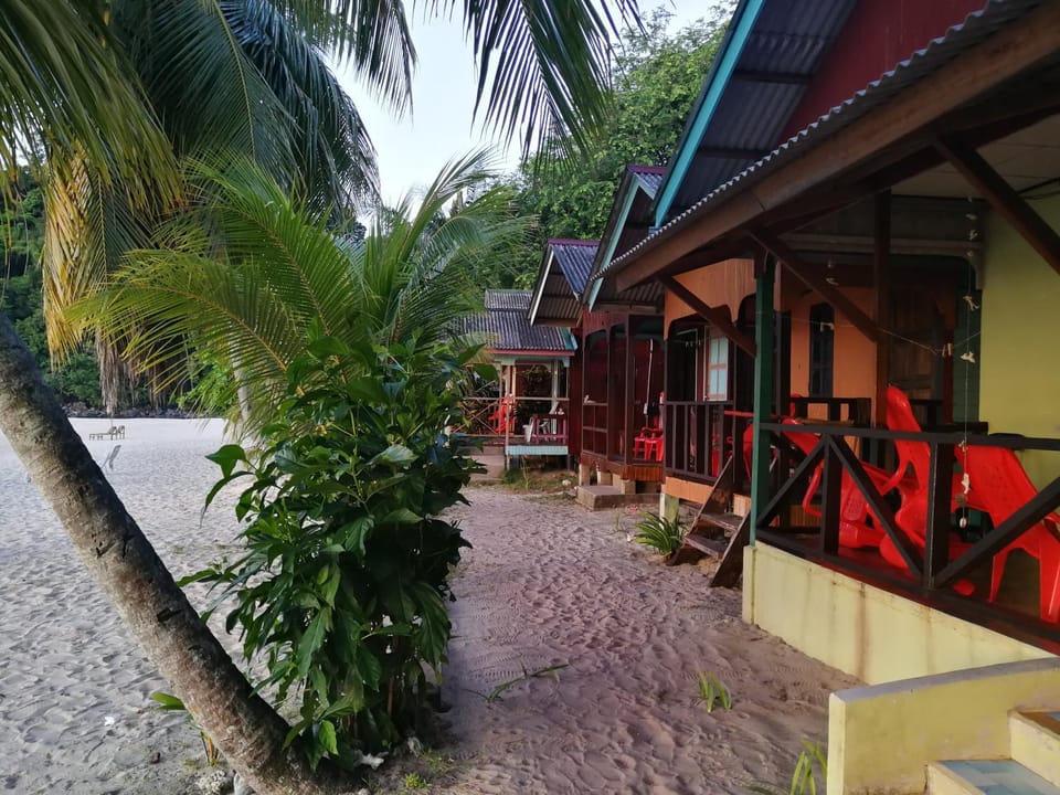Property building, Day, Garden