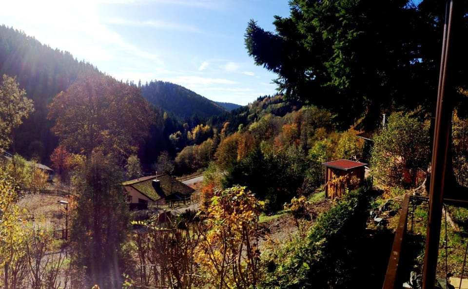 Day, Autumn, Mountain view, Street view
