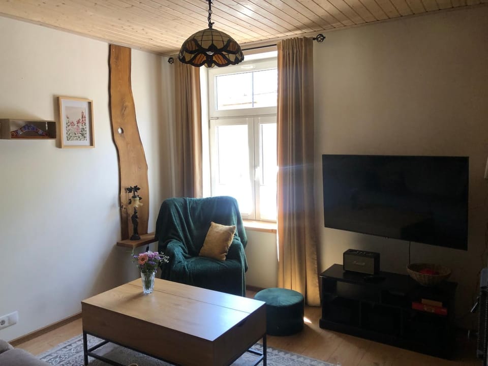 Rohu Külaliskorter vanalinnas Apartment in Estonia