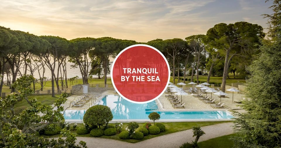 Natural landscape, Pool view, Swimming pool, sunbed