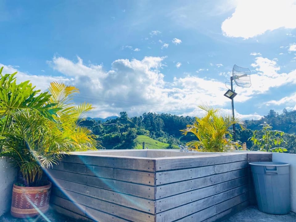 Day, Natural landscape, Garden, Garden view