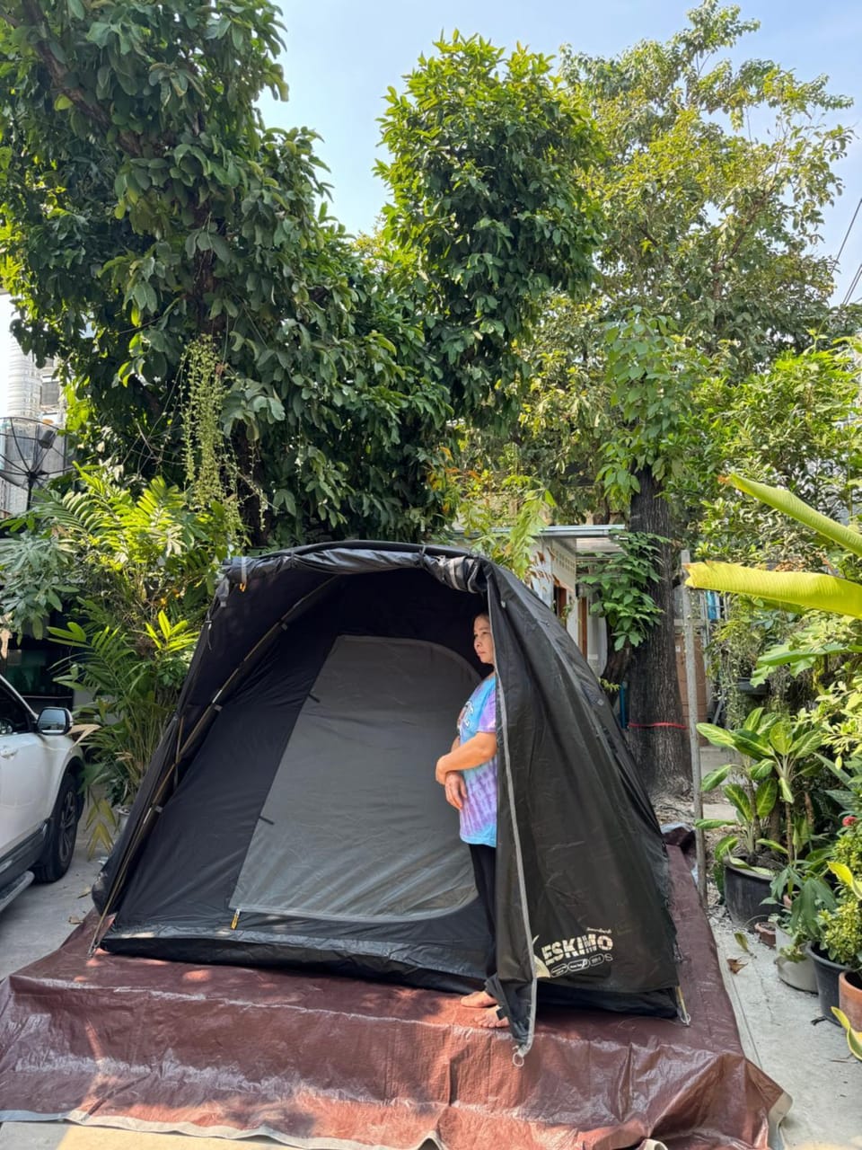Many Trees Vacation rental in Bangkok