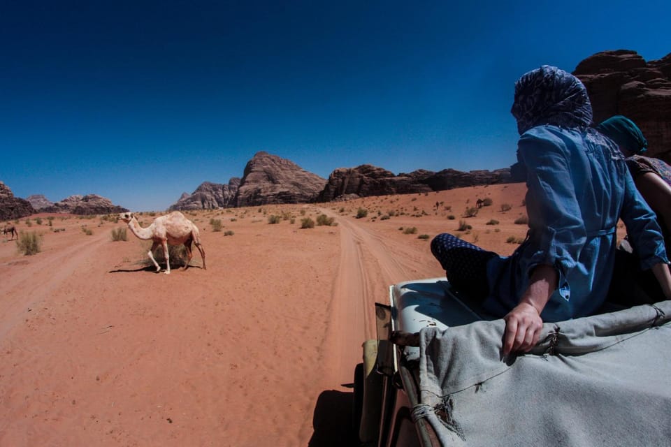Jordan Tracks Bedouin Camp Campground/ 
RV Resort in South District