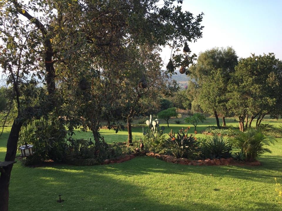 Summer, Garden, Garden view