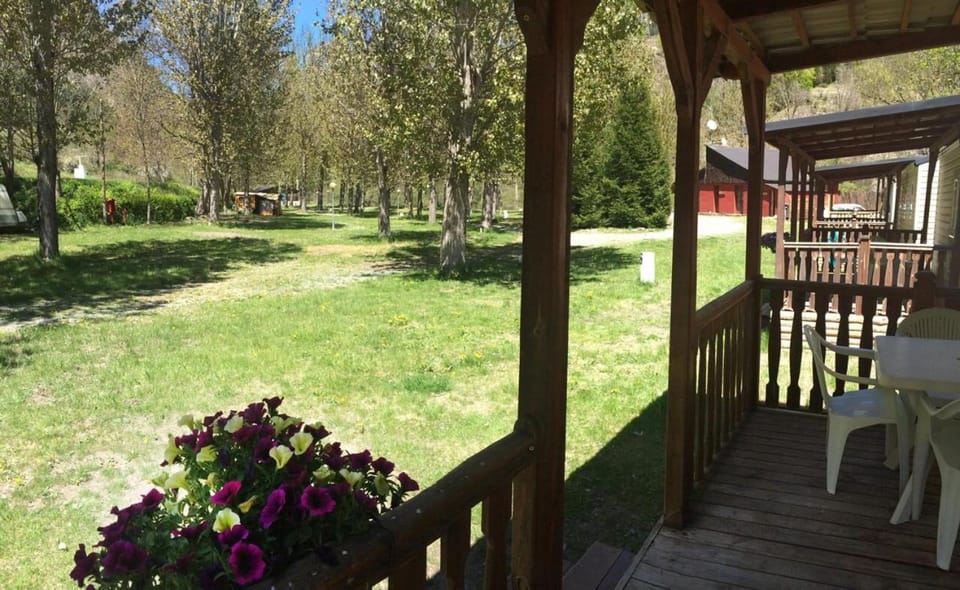 Day, Garden