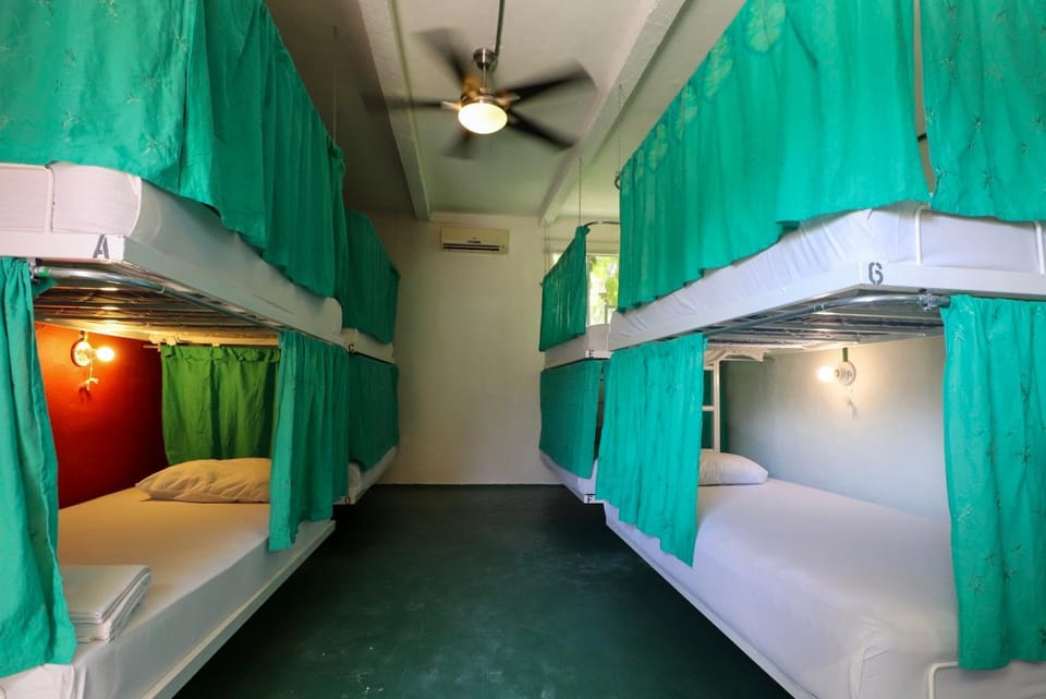 bunk bed