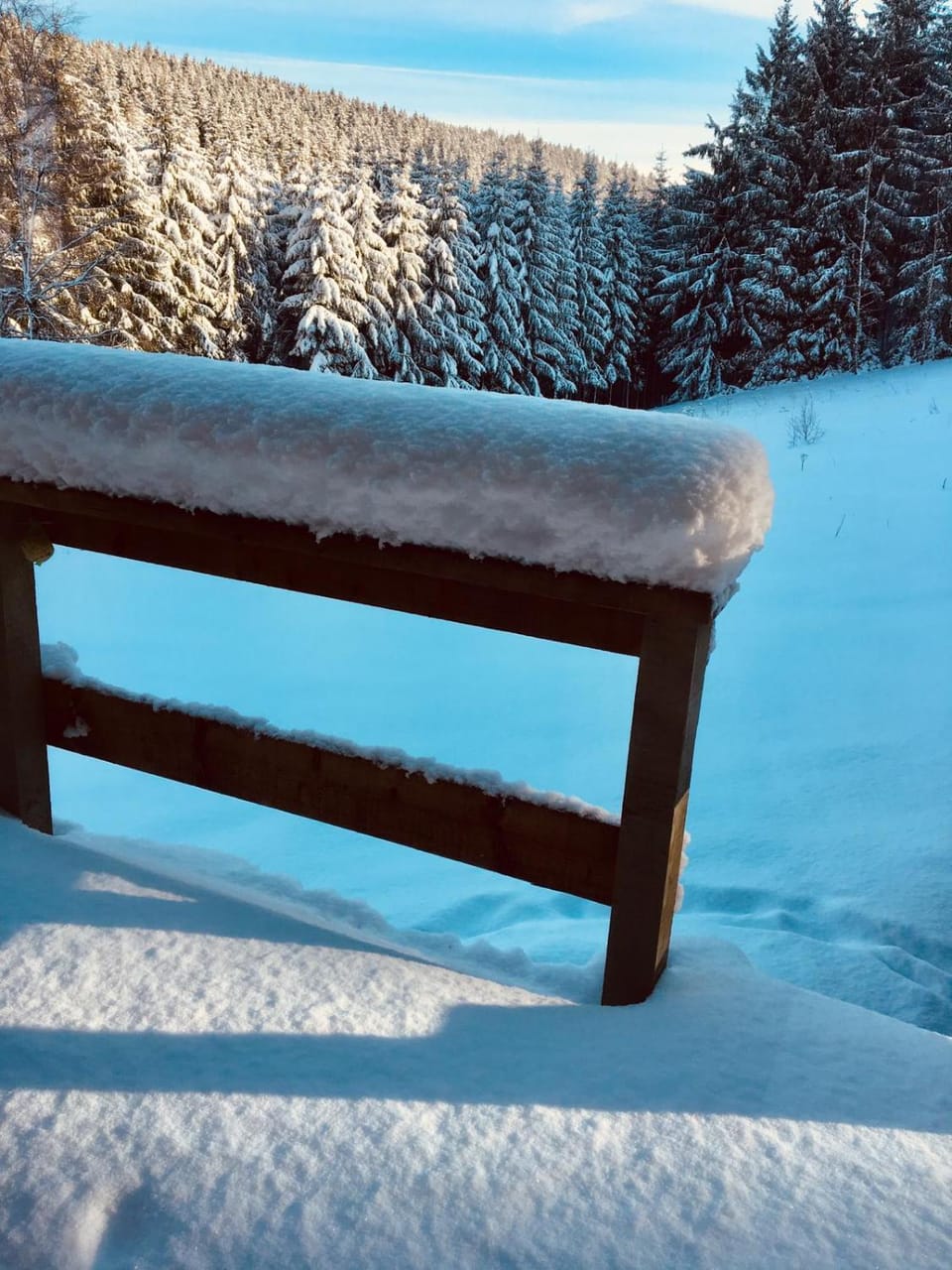 Chalet Le Forestier Chalet in Wallonia, Belgium