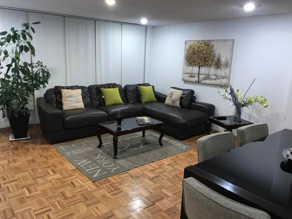 Suite G Mancera Apartment in Mexico City